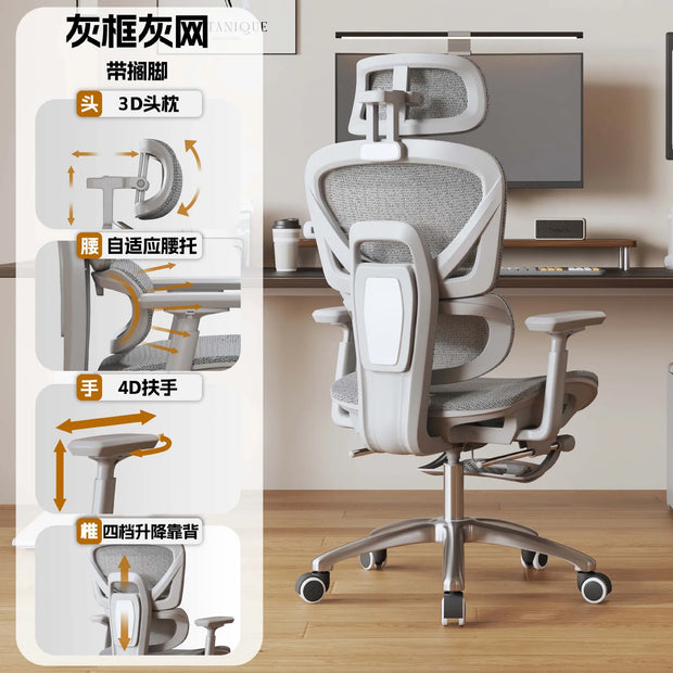 Ergonomic Office Chair Seat Cover Computer Chairs Gaming Adjustable Free Shiping Sedia Da Ufficio Chaise De Bureau Furniture