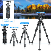 WEYLLAN Mini Carbon Fiber Camera Tripod Portable Lightweight Tabletop Tripod GX2 Travel Tripod for DSLR Camera Max Load 10kg