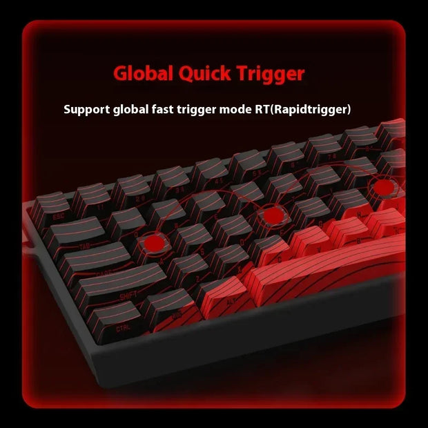 Madlions Mad 60he Mad 68he Wired Mechanical Keyboard Gaming Magnetic Switch RT 0.02mm 8K Polling Rate RGB Hotswap Keyboard